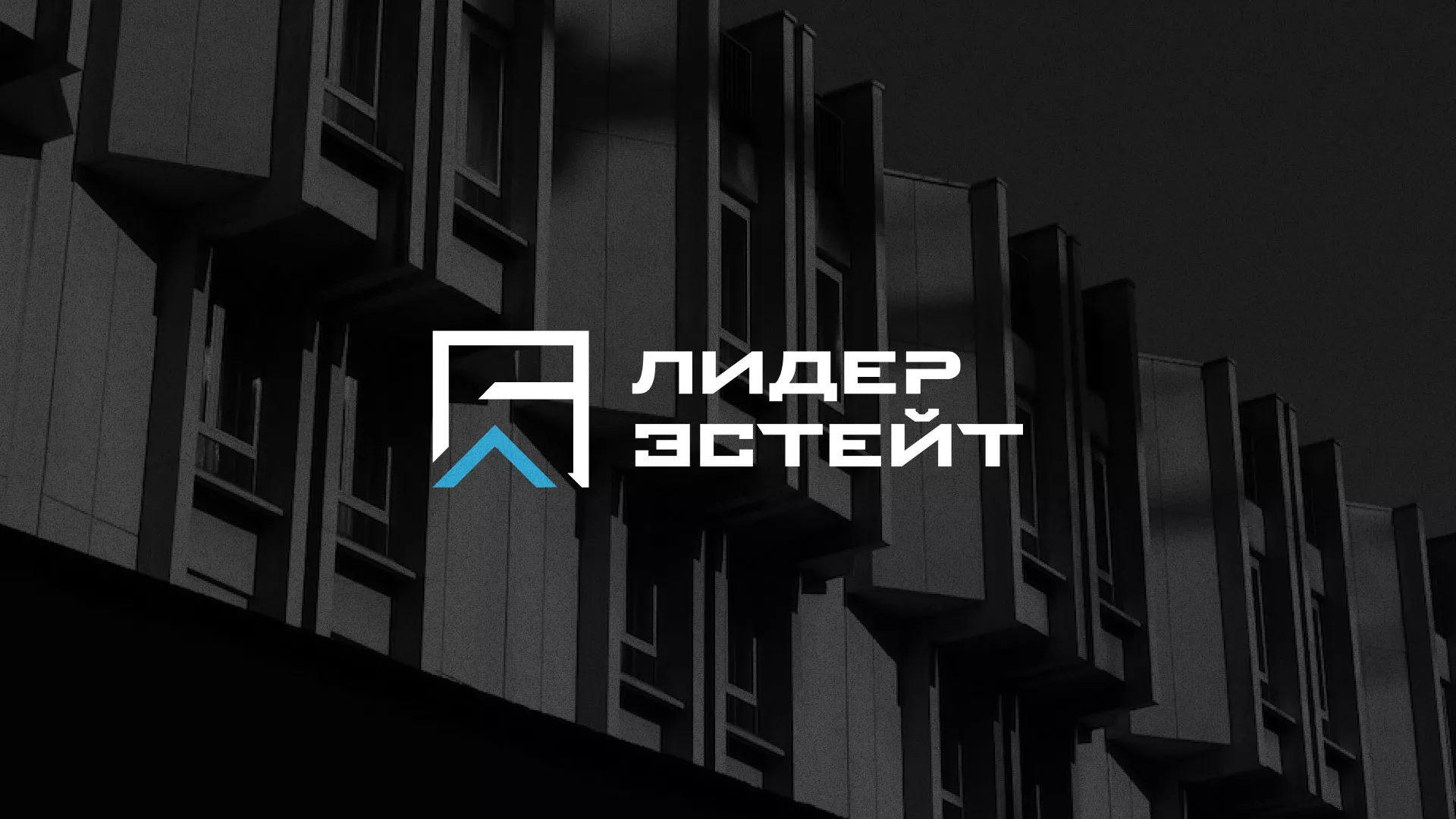 Разработка логотипа агентства недвижимости «Лидер Эстейт» в Красногорске